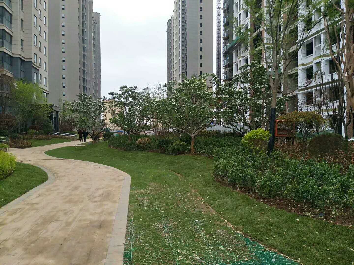 今日特价：皇姑隐形植草格==绿化率高[当地]制造商