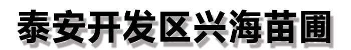 [北湖]兴海苗木种植合作社